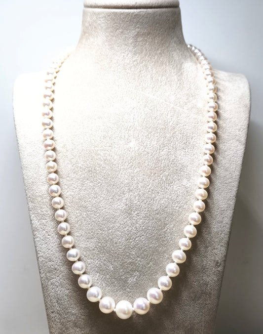 Girocollo Collana in oro con perle d'acqua dolce scalata - Gioielli Pavan