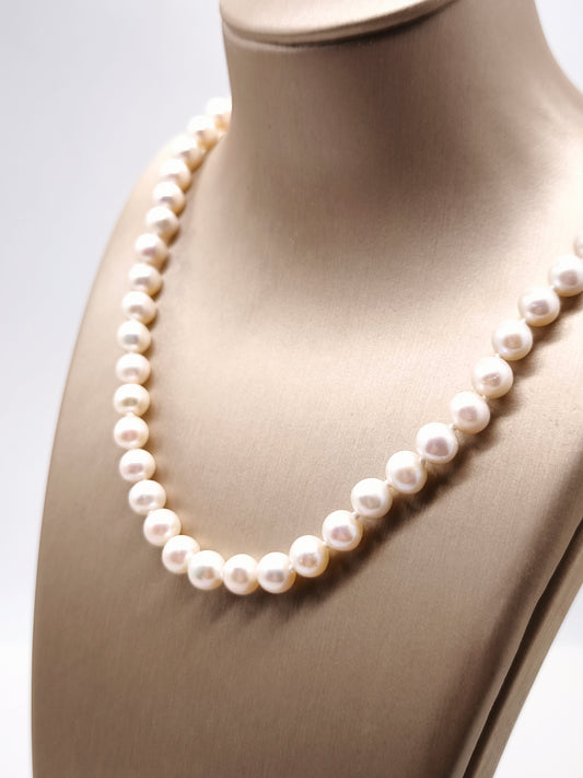 Girocollo Girocollo in Argento con perle acqua dolce - Gioielli Pavan