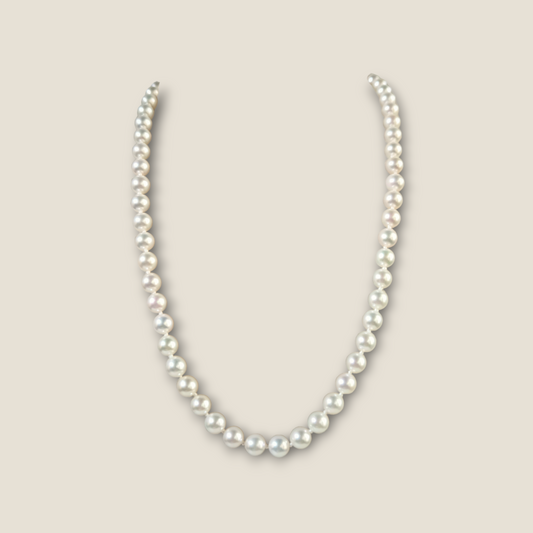 Girocollo Collana in oro con perle MIkimoto - Gioielli Pavan