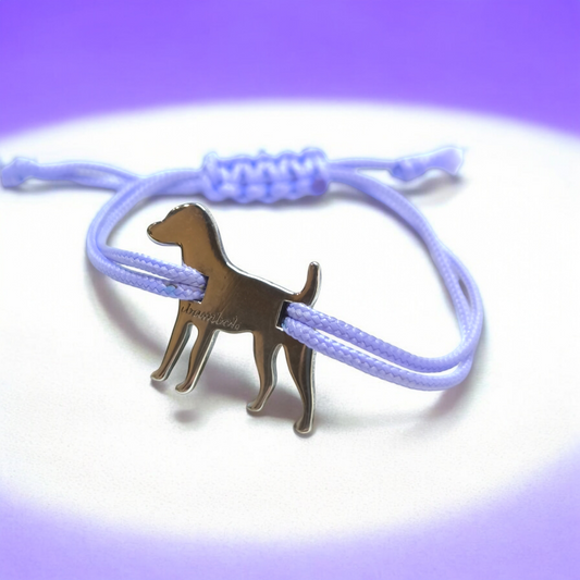Bracciale Braccialetto con cane tipo Weimaraner o Bracco - Gioielli Pavan