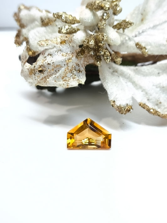 gemme Quarzo citrino pentagono 2,85ct - Gioielli Pavan