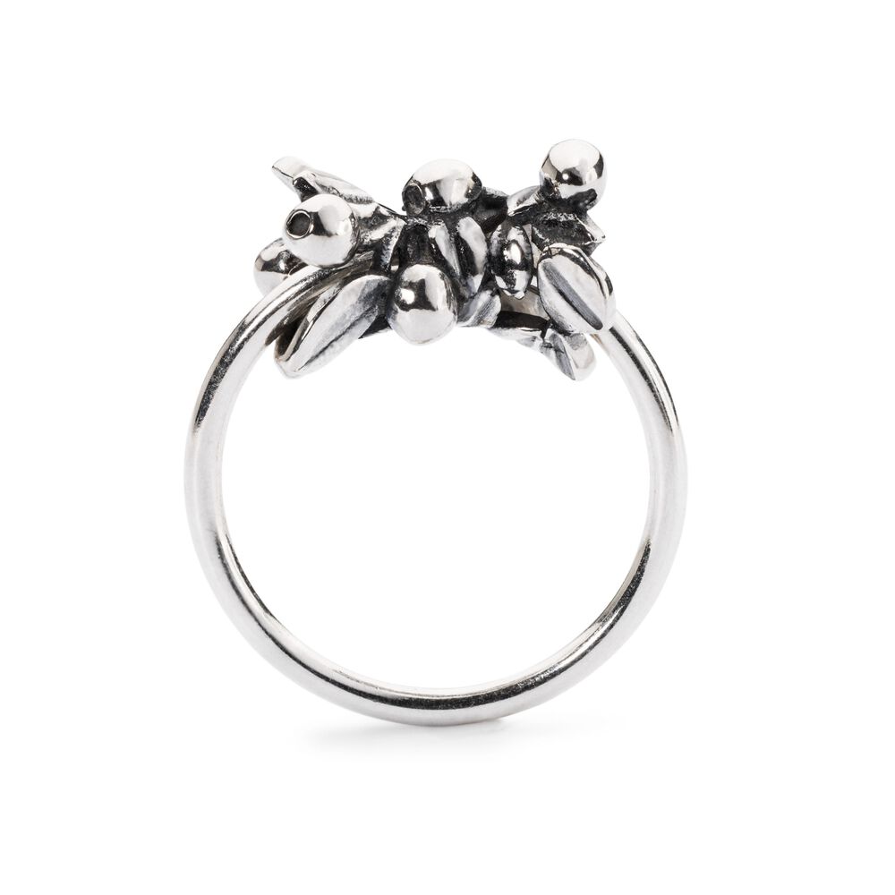 Blackpool Perla Trollbeads Anello Biancospino Anello Trollbeads