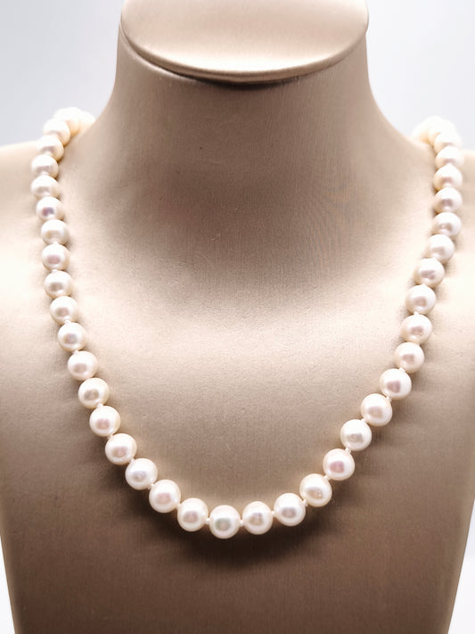 Silver choker with fresh water pearls