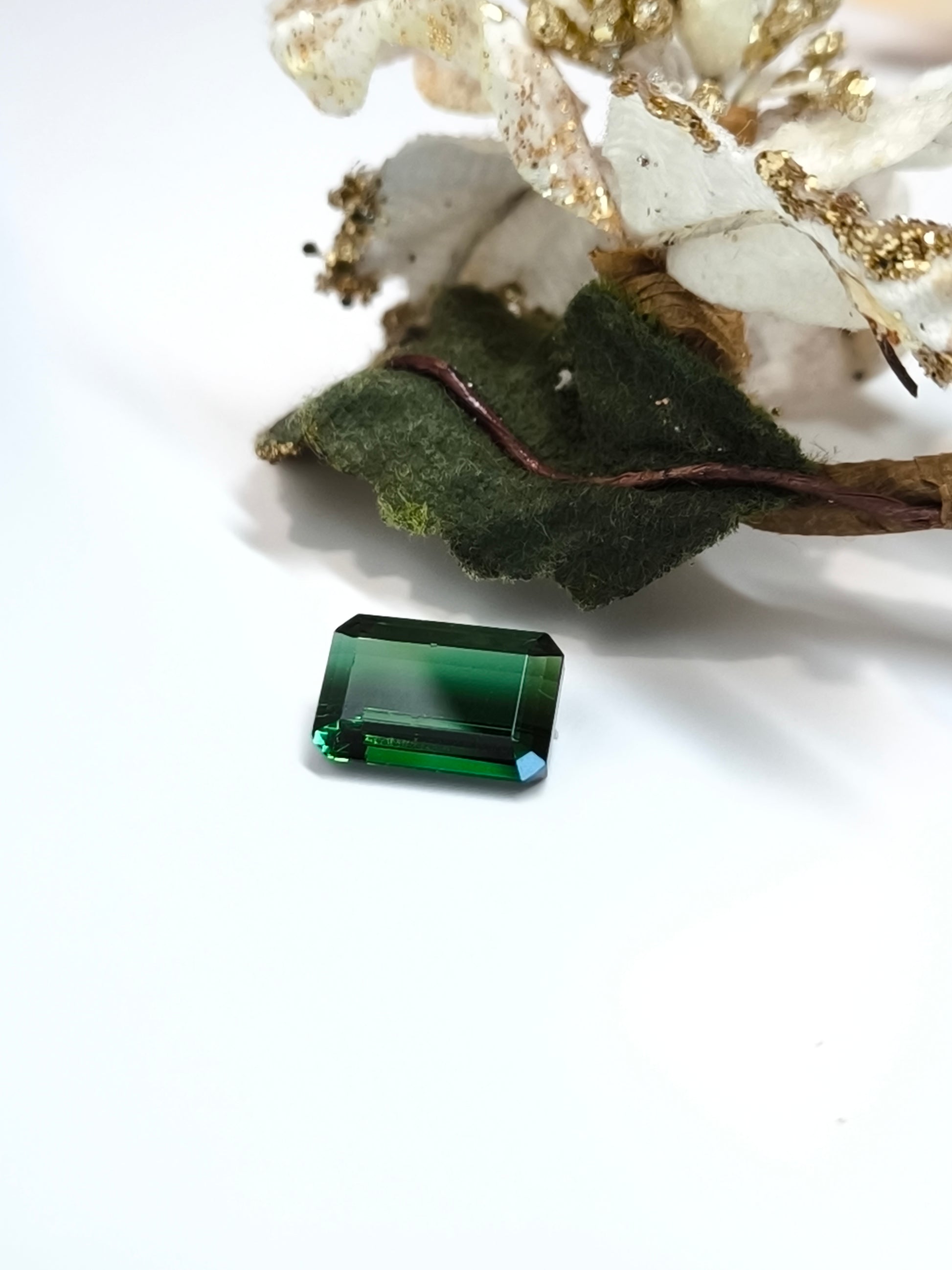 gemme Tormalina verde ottagonale 5,80ct - Gioielli Pavan