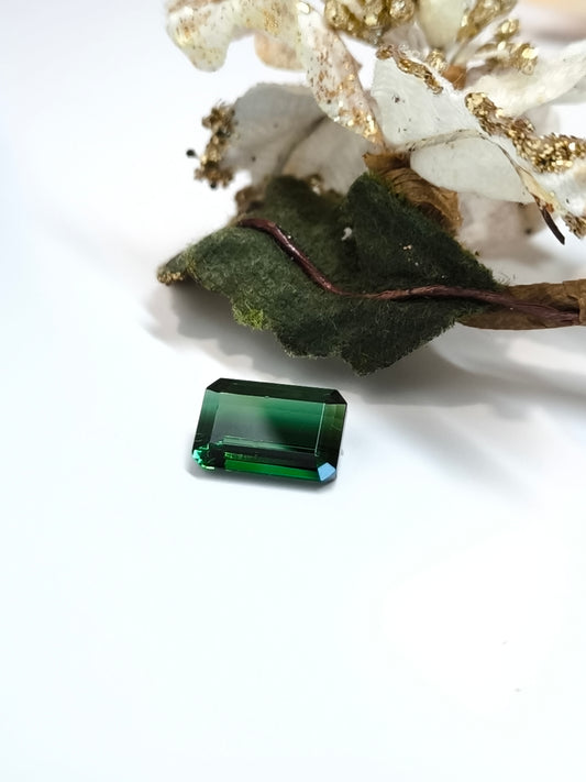 gemme Tormalina verde ottagonale 5,80ct - Gioielli Pavan