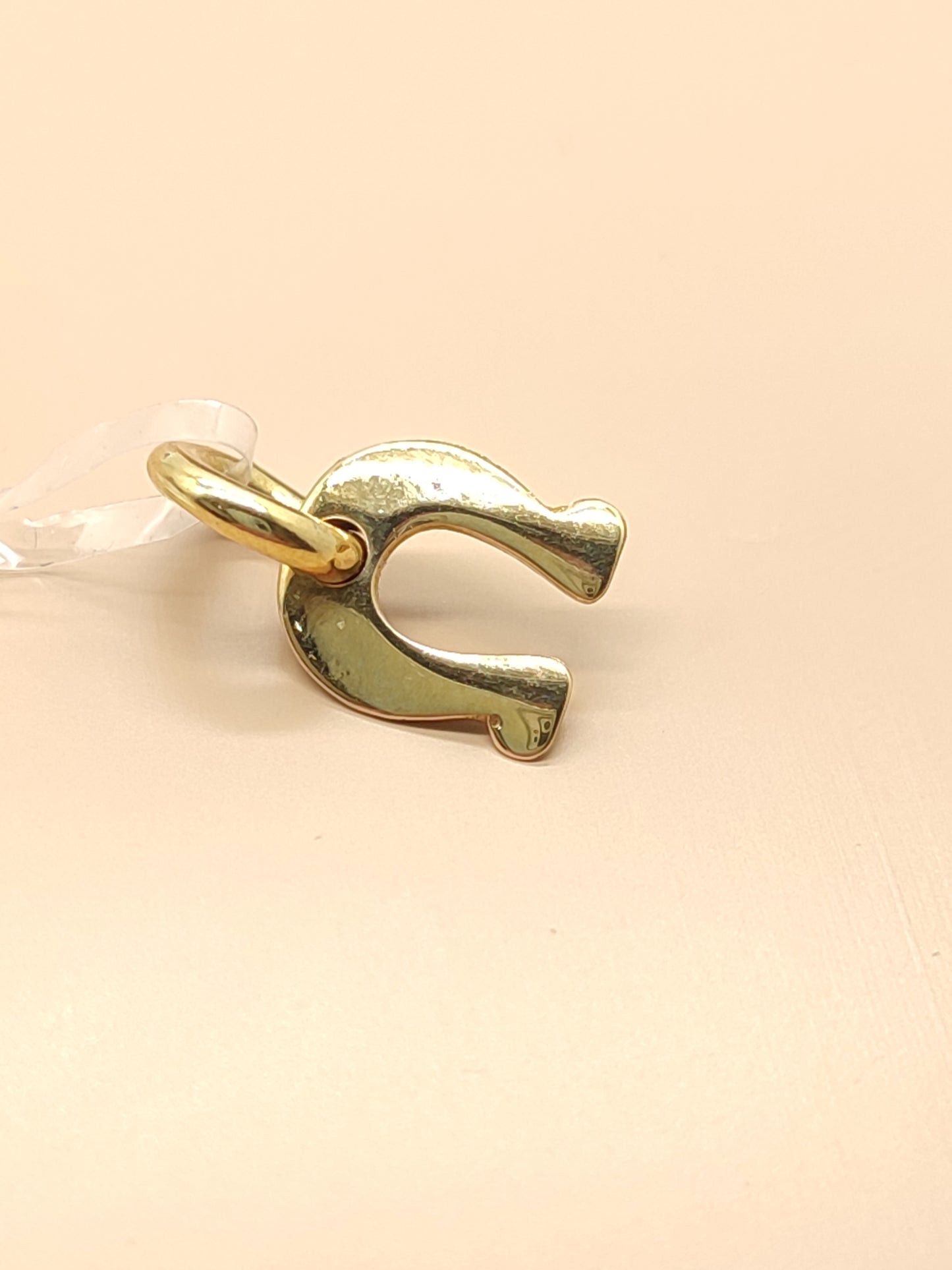 Horseshoe pendant in gold